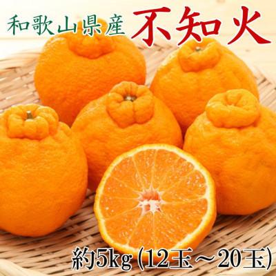 ふるさと納税 印南町 和歌山県産不知火約5kg(12玉〜20玉おまかせ)(印南町)