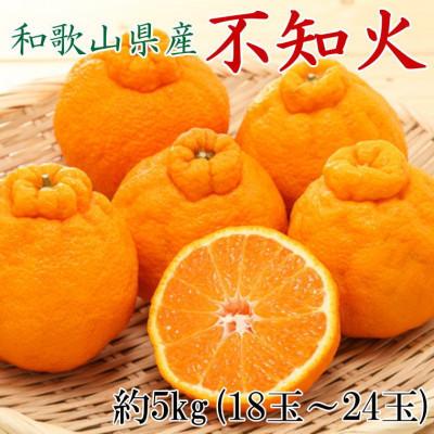 ふるさと納税 美浜町 和歌山県産不知火約5kg(18玉〜24玉おまかせ)(美浜町)