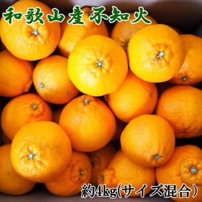 ふるさと納税 新宮市 和歌山県産不知火約4kg(サイズ混合)(新宮市)