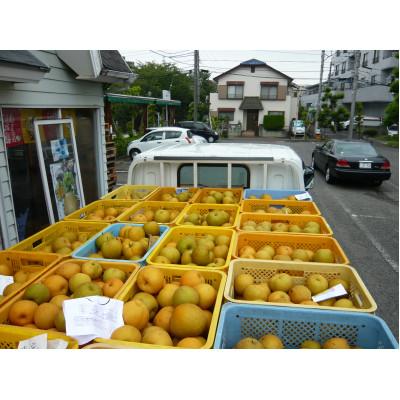 ふるさと納税 稲城市 稲城の梨ワイン |  | 02
