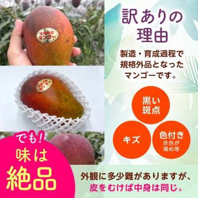 ふるさと納税 西原町 【2027年6月から順次発送・訳あり】アップルマンゴー1.5kg(3〜6玉) |  | 02
