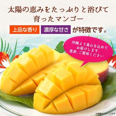 ふるさと納税 西原町 【2027年6月から順次発送・訳あり】アップルマンゴー1.5kg(3〜6玉) |  | 03