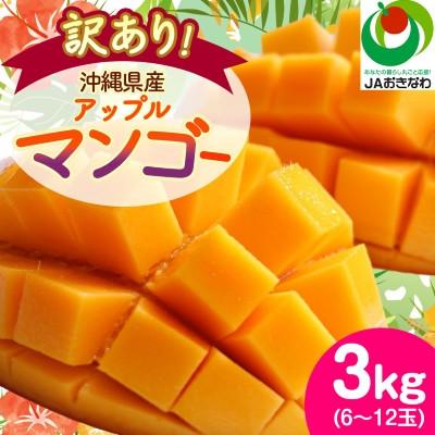 ふるさと納税 西原町 【2027年6月から順次発送・訳あり】アップルマンゴー3.0kg(6〜12玉) | 