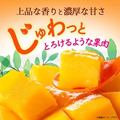 ふるさと納税 西原町 【2027年6月から順次発送・訳あり】アップルマンゴー3.0kg(6〜12玉) |  | 01