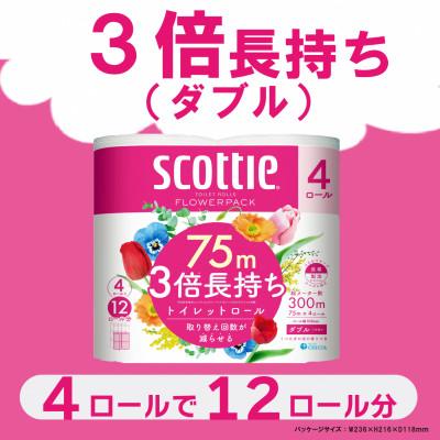 ふるさと納税 福知山市 スコッティフラワーパック 3倍巻き トイレットペーパー ダブル 4ロール×12パック 日用品 |  | 01