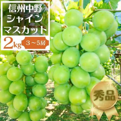 ふるさと納税 中野市 長野県中野市産ぶどう・シャインマスカット秀品 2kg箱 3〜5房入り | 