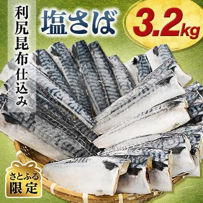 ふるさと納税 銚子市 [さとふるの日限定][訳あり] こだわり利尻昆布仕込み 塩さばフィレ 約3.2kg 銚子東洋