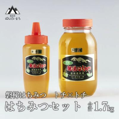 ふるさと納税 磐梯町 磐梯はちみつ はちみつセット トチ×トチ