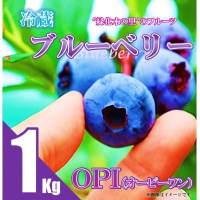 ふるさと納税 中島村 [先行予約/冷蔵]ブルーベリー1kg(OP1)