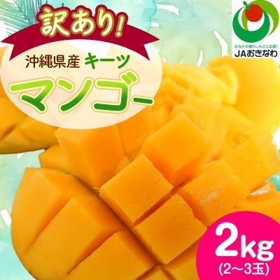 ふるさと納税 西原町 【2027年8月中旬から順次発送・訳あり】JAおきなわ厳選!沖縄県産キーツマンゴー2kg(2〜3玉) | 