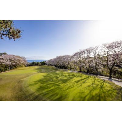 ふるさと納税 八千代市 《ゴルフ平日セルフプレー券　4名様分》太平洋クラブ八千代コース(昼食付) |  | 03