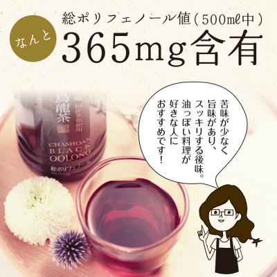 ふるさと納税 牧之原市 静岡県牧之原産 国産黒烏龍茶ペットボトル 500ml×24本セット |  | 03