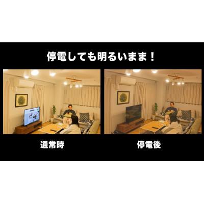 ふるさと納税 稲城市 【ふるさと納税】停電しても消えない電球「いつでもランプtsuita」昼白色2個セット |  | 02