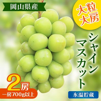 ふるさと納税 高梁市 氷温貯蔵[2025年度発送分]大粒 大房 シャインマスカット 2房 (一房700g以上) 岡山県産