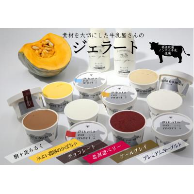 ふるさと納税 森町 ピカタの森 駒ヶ岳牛乳 ジェラート12個セット