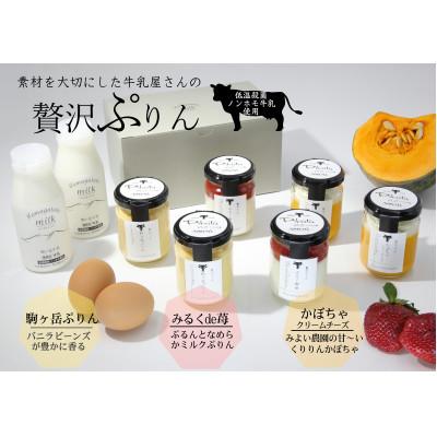 ふるさと納税 森町 ピカタの森 駒ヶ岳牛乳 贅沢ぷりん6個セット