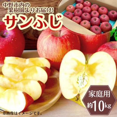 ふるさと納税 中野市 ◆2026年12月中発送◆りんご サンふじ家庭用 約10kg(24〜42玉) | 