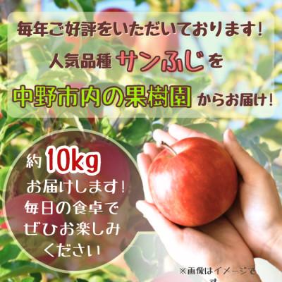 ふるさと納税 中野市 ◆2026年12月中発送◆りんご サンふじ家庭用 約10kg(24〜42玉) |  | 01