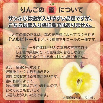 ふるさと納税 中野市 ◆2026年12月中発送◆りんご サンふじ家庭用 約10kg(24〜42玉) |  | 02