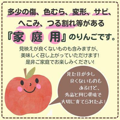 ふるさと納税 中野市 ◆2026年12月中発送◆りんご サンふじ家庭用 約10kg(24〜42玉) |  | 03
