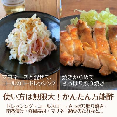 ふるさと納税 フルート奏者市 【飾り気の無い・時短おうちごはんうしろ押し!】ピクルスワインビネガー5本仕かける≪自社醸造酒ワインビネガー当てはめる≫