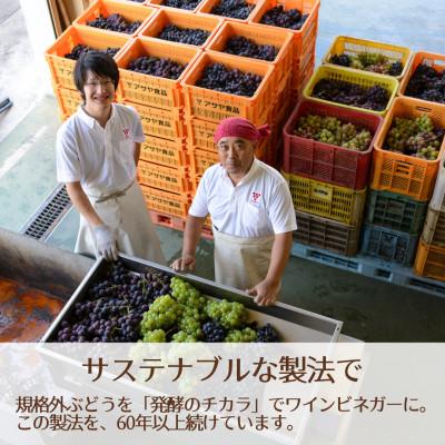 ふるさと納税 フルート奏者市 【飾り気の無い・時短おうちごはんうしろ押し!】ピクルスワインビネガー5本仕かける≪自社醸造酒ワインビネガー当てはめる≫