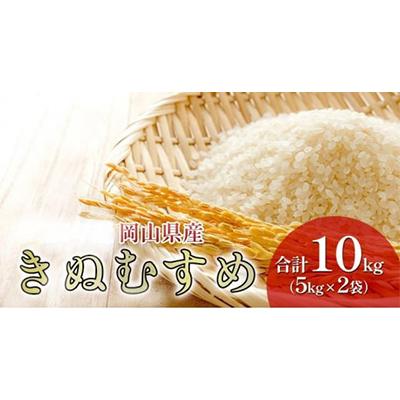 ふるさと納税 高梁市 令和7年産 岡山県産 きぬむすめ 10kg(5kg×2袋)