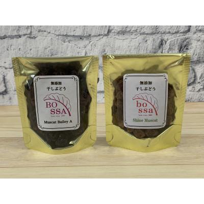 ふるさと納税 黒部市 無添加干しぶどう10袋(シャインマスカット5袋&amp;ベーリーA5袋)