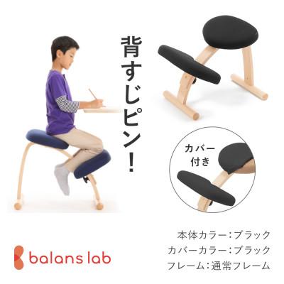 ふるさと納税 美濃市 バランス イージー 通常フレーム(カバー付き