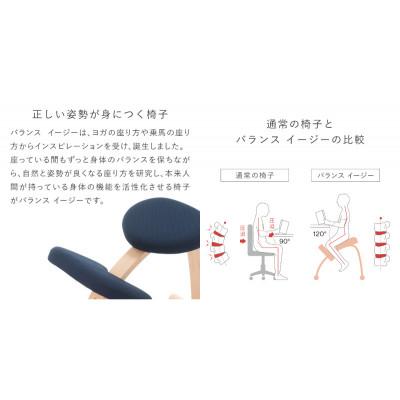 ふるさと納税 美濃市 バランス イージー 通常フレーム バランスチェア