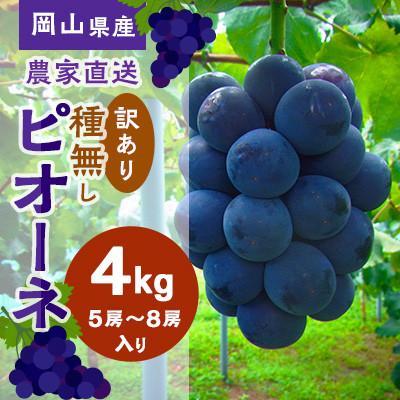 ふるさと納税 高梁市 [2026年先行受付]こあに葡萄園 岡山県産 農家直送ご家庭用訳あり ピオーネ4kg 5房〜8房入り