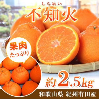 ふるさと納税 由良町 紀州有田産不知火(しらぬひ) 2.5kg