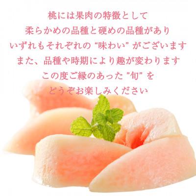 ふるさと納税 山梨市 【2026年発送】訳あり桃・3K(7~10個)「龍の木の実 望月のもも」の画像