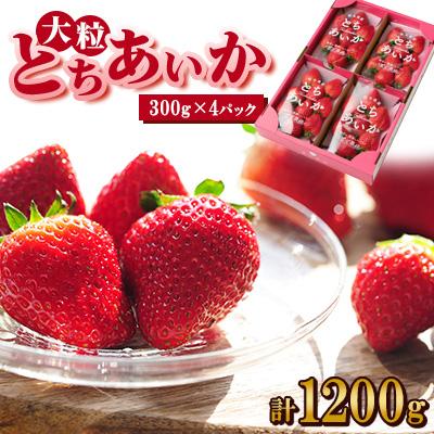 ふるさと納税 佐野市 いちご生産量日本一栃木県産[春いちご]大粒『とちあいか』(300g×4パック)