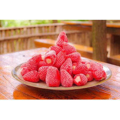 ふるさと納税 三田市 かさや冷凍いちご1キロ