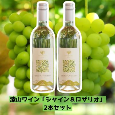 ふるさと納税 南陽市 漆山ワイン「シャイン&amp;ロザリオ」2本[S2078]