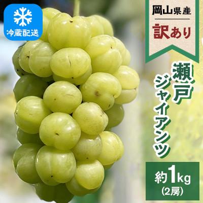 ふるさと納税 高梁市 [訳あり]2026年発送 岡山県産 瀬戸ジャイアンツ 2房 合計約1kg 冷蔵配送