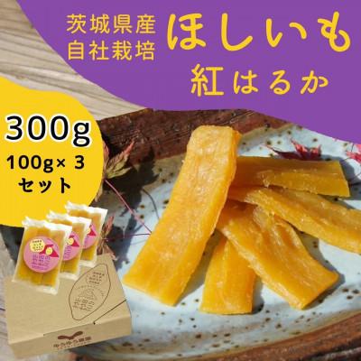 ふるさと納税 河内町 山田のややこ -おいものこ- ほしいもセット 300g(100g×3個)