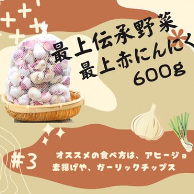 ふるさと納税 新庄市 最上伝承野菜[最上赤にんにく] 600g(バラ)