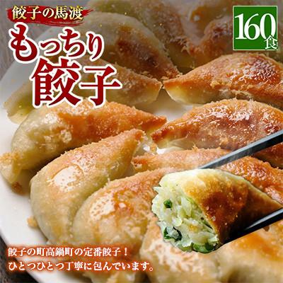 ふるさと納税 高鍋町 馬渡のもっちり餃子160個