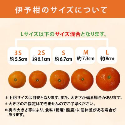 ふるさと納税 松山市 【先行予約】2027年2月上旬より発送 宮内伊予柑 家庭用 訳あり 小玉約5kg Lサイズ以下 |  | 02