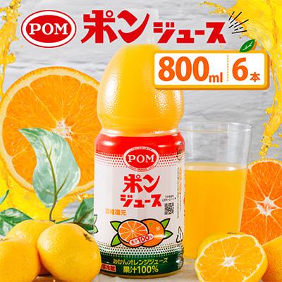 ふるさと納税 松山市 POMポンジュース 800mlペット