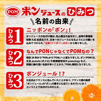 ふるさと納税 松山市 POMポンジュース 800mlペット |  | 03