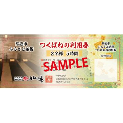 ふるさと納税 常総市 [別荘]つくばねの2名様5時間利用券 1枚
