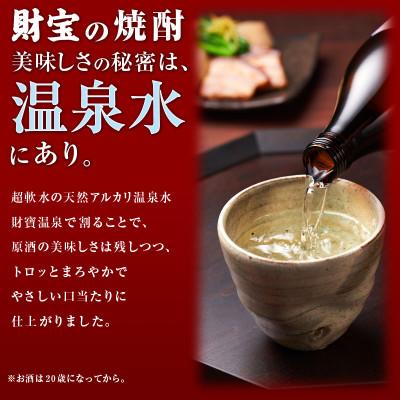 ふるさと納税 垂水市 芋焼酎 紙パック 2種2本 財宝・財宝スペシャル