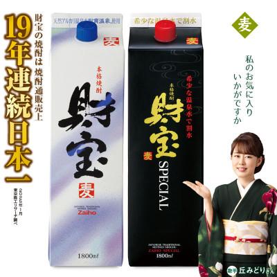 ふるさと納税 垂水市 麦焼酎 紙パック 2種2本 財宝・財宝スペシャル 1800ml × 各1本 温泉水使用