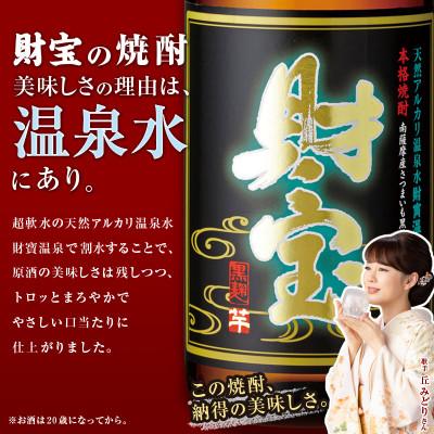 ふるさと納税 垂水市 麦焼酎 紙パック 2種2本 財宝・財宝スペシャル 