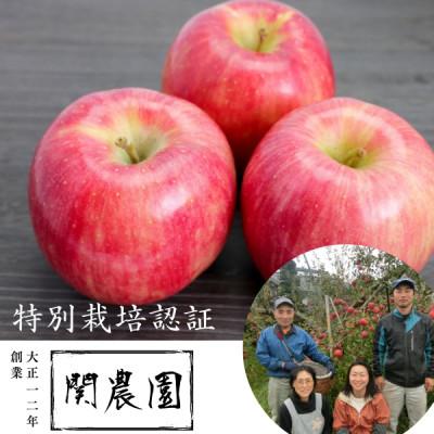 ふるさと納税 松川町 創業100年!関農園の特別栽培認証シナノドルチェ 約3kg 長野県 南信州