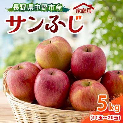 ふるさと納税 中野市 [訳あり][先行受付] りんご サンふじ 5kg 家庭用 長野県産