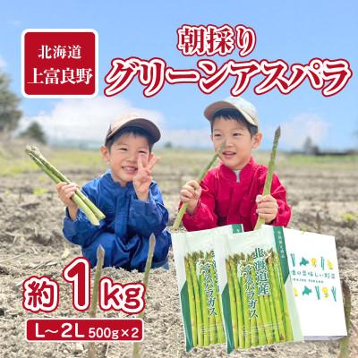 ふるさと納税 上富良野町 [2026年発送]アスパラ専門農家の朝採りグリーンアスパラ 約1kg(L〜2L)